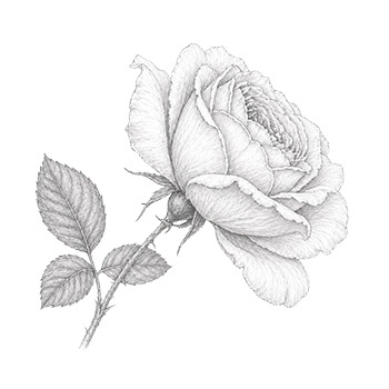 Rose Erika Rosinger