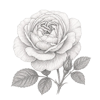 Rose Erika Rosinger